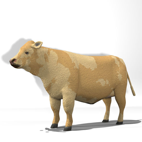 Cattle Multi- Breed (morphing figure & 12 cattle breed set for Poser),Limousin Steer rendered in Poser Firefly