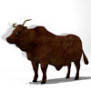 Cattle Multi- Breed (morphing figure & 12 cattle breed set for Poser),Wild Yak Steer rendered in Poser Firefly