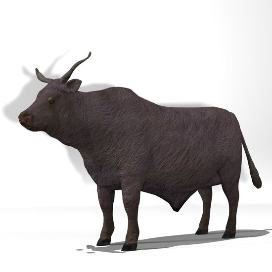 Cattle Multi- Breed (morphing figure & 12 cattle breed set for Poser)Tibetian Yak Steer rendered in Poser Firefly