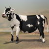 Cattle milking pose rendered in Poser Firefly