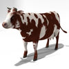 Cattle Multi- Breed (morphing figure & 12 cattle breed set for Poser), Hereford Cow rendered in Poser Superfly