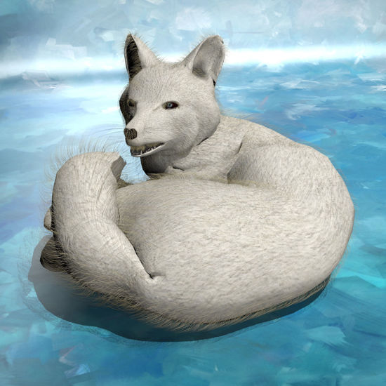 Arctic Fox animated 3d figure for Poser