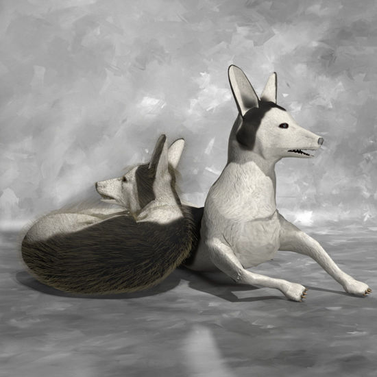 Marble Fox animated 3d figure for Poser