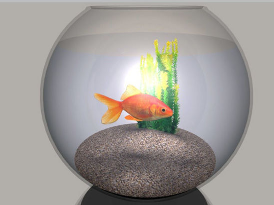 Picture of Goldfish and Bowl Models - Poser and DAZ Studio Format