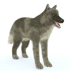 Wolf Pack Multi-Species - animated canine figure for Poser