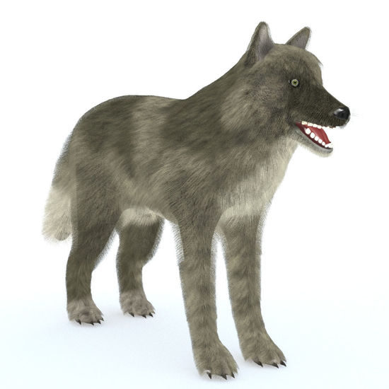 Wolf Pack Multi-Species (Northwestern Wolf Figure for Poser)