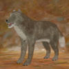 Wolf Pack Multi-Species  Tibetan Wolf for Poser