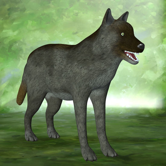 Wolf Pack Multi-Species  Timber Wolf for Poser
