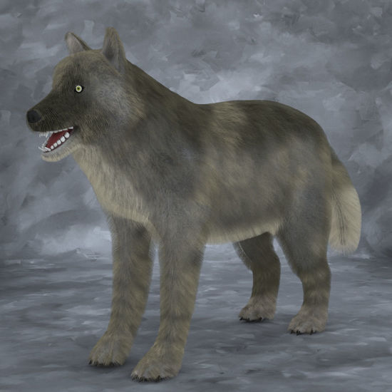 Wolf Pack Multi-Species  Tundra Wolf for Poser