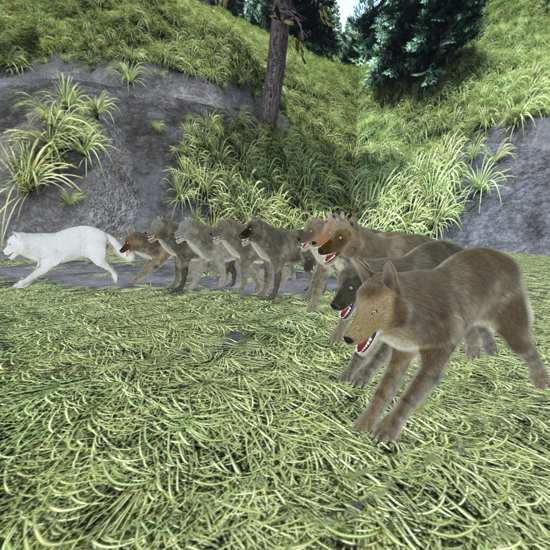 Wolf Pack poses: Walk, Track, Trot, Canter, Run canine animation loops for Poser