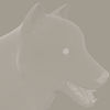 Wolf Pack Multi-Species High Resolution Morphing Canine Mesh for Poser