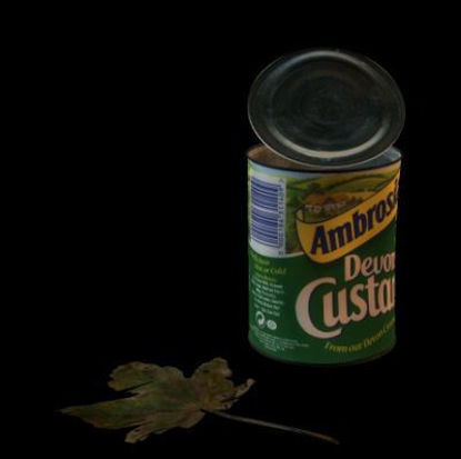 Picture of Old can and leaf Scatter a few around for realism