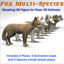 	Fox multi-species morphing animated 3d figure for Poser and DS 3d Studio