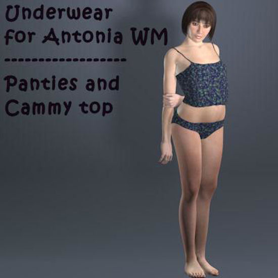 Picture of Antonia WM Underwear