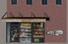 Picture of Bodega Store Building Model