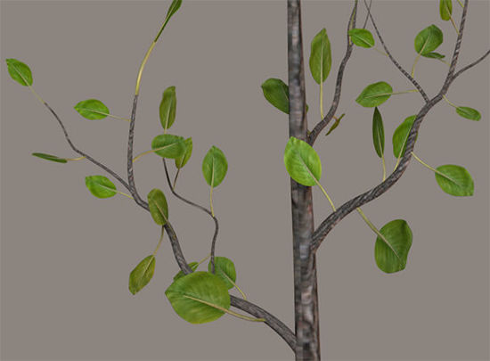 Picture of Small Sidewalk / Landscaping Tree Model