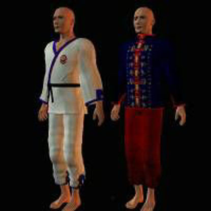Picture of Georgia Man, Karate, Latin Man and Male Robe - karate