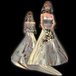 Wedding Veil and Dress - weddingdress
