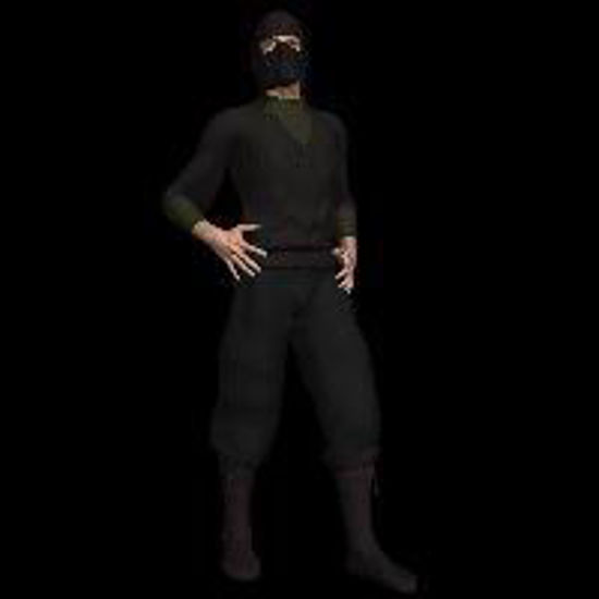 Picture of Ninja for David (Poser / DAZ 3D David)