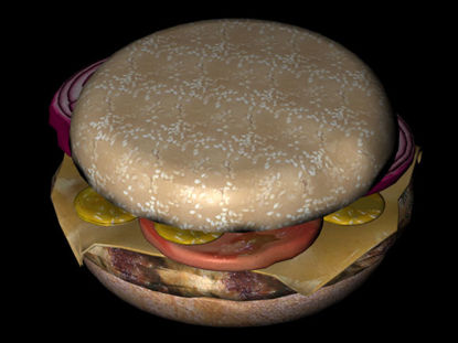 Picture of Hamburger Sandwich and Topping Models - Poser and DAZ Studio Format