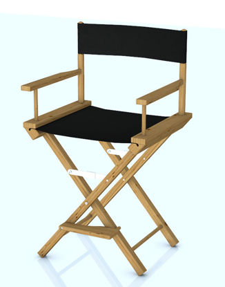 Picture of Movie Director's Chair Model - Poser and DAZ Studio Format