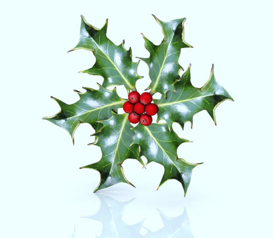 Picture of Holiday Holly Model