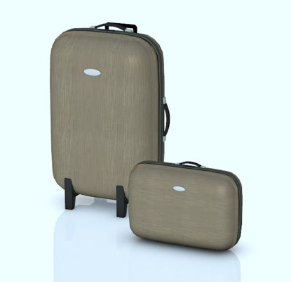 Picture of Large and Carry On Suitcase Models