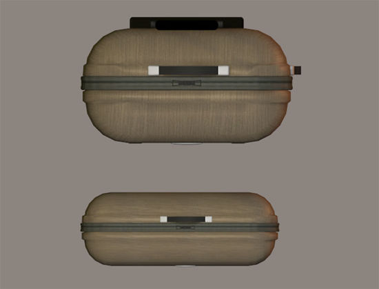 Picture of Large and Carry On Suitcase Models