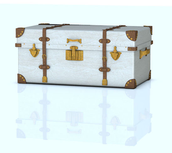 Picture of Victorian Era Travel Trunk Model with Morph