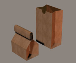 Morphing Brown Paper Lunch Bag