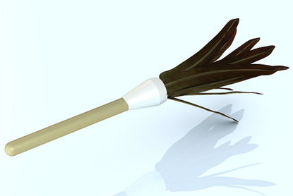 Picture of Feather Duster Model