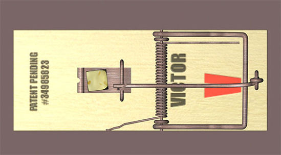 Picture of Wooden Mouse Trap Model
