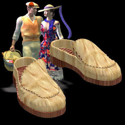 Picture of Romantic Picnic Soft Shoes - MIKEpicnicSoftShoes