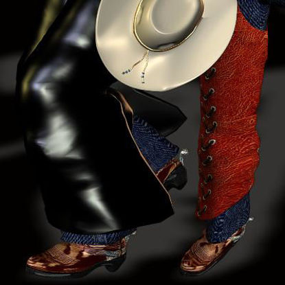 Picture of Cowboy pant's Spurs