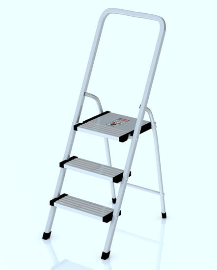 Picture of Step Ladder Model