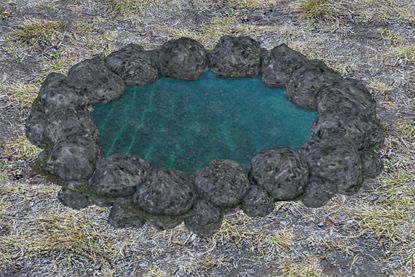 Picture of Enchanted Reflection Pool