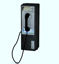 Picture of Pay Phone Model