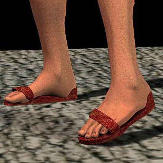 Picture of Biblical sandles