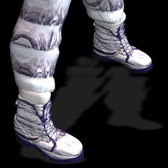 Picture of Combat boots for the P4 guy