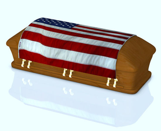 Picture of Patriotic Flag Draped Coffin Model