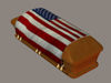 Picture of Patriotic Flag Draped Coffin Model