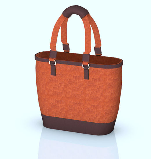Picture of Women's Leather Tote Handbag Prop