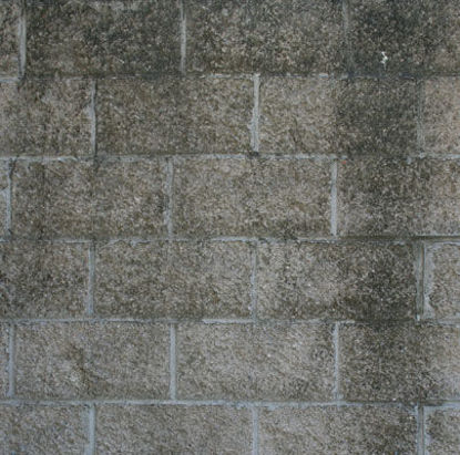 Picture of Shady Stained Concrete Brick Wall