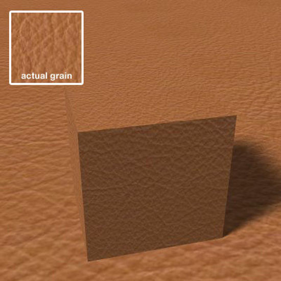 Picture of Seamless Tan Leather