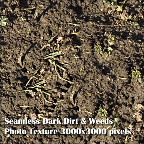 Picture of Eight Seamless Photo Textures of Grass and Yard 3000x3000 pixels - Dark-Dirt-and-Weeds