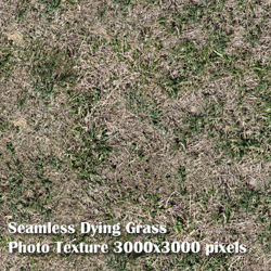 Eight Seamless Photo Textures of Grass and Yard 3000x3000 pixels - Dying-Grass