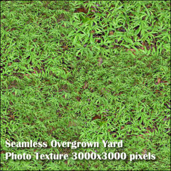 Eight Seamless Photo Textures of Grass and Yard 3000x3000 pixels - Overgrown-Yard