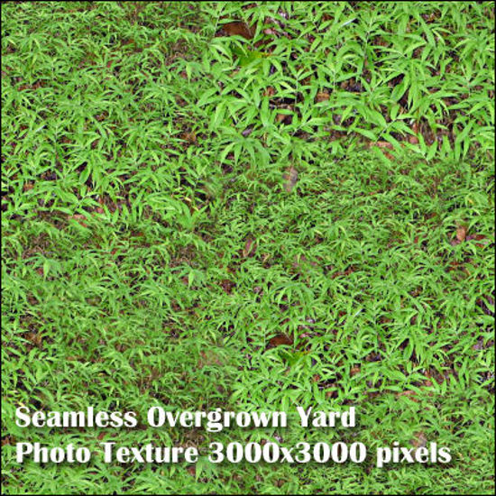 Picture of Eight Seamless Photo Textures of Grass and Yard 3000x3000 pixels - Overgrown-Yard