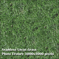 Eight Seamless Photo Textures of Grass and Yard 3000x3000 pixels - Green-Uncut-Grass