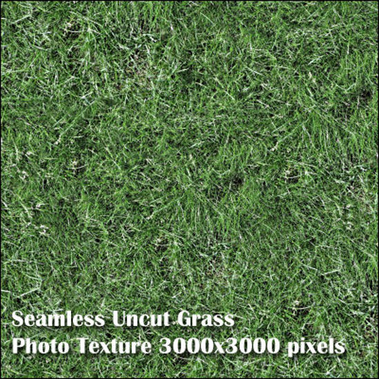 Picture of Eight Seamless Photo Textures of Grass and Yard 3000x3000 pixels - Green-Uncut-Grass